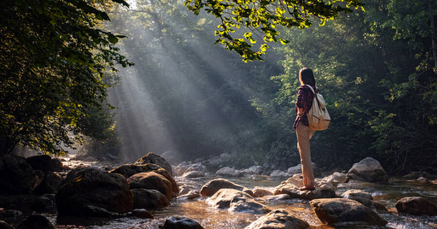 Nature Therapy: Why Forest Bathing Is Gaining Global Popularity